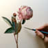 draw a botanical illustration
