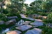 design your garden, backyard, patio, realistic landscape