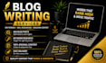 write SEO blog articles and website content