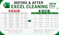 clean, format, organize and clean excel data professionally
