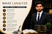 provide professional literature analysis