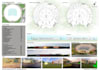 do professional architecture presentation,poster and board design