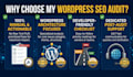do a wordpress audit and action plan for technical seo