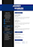 design a professional cv resume