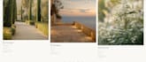 design and develop a custom luxury wedding website