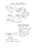 write neat handwritten notes and science diagrams