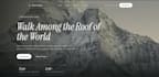 build a fully custom coded website in any design you want