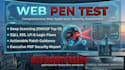 perform penetration testing and web vulnerability assessment with security