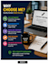 write SEO blog posts, articles, and website content