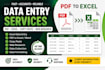 do data entry, excel data entry, PDF conversion and web research