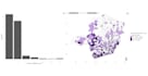professional statistics services for you