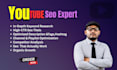 do youtube SEO and video optimization
