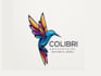 make outstanding hummingbird logo with express delivery