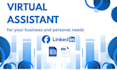 do fastest and top notch internet research, web research and data collection