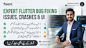 fix flutter app bugs, ui issues, and integrate apis