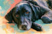 create oil painting, digital oil painting