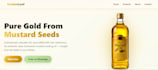 create a responsive HTML CSS website or landing page