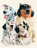 draw disney pet portrait illustration