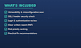 perform a basic website or system security and vulnerability check