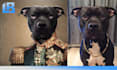 create a custom pet portrait