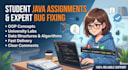 do java programming, cording tasks, and bug fixes