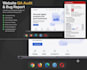 perform saas application testing, website QA audit, and functional testing