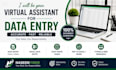 do professional data entry web recharge and copy paste