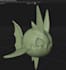 retopo it for you