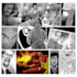 create comic book and custom illustration