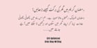 translate english articles to SEO urdu blog