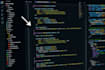 develop custom web portal, saas and business  software