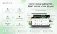 design cannabis website cbd website marijuana website