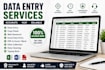 do accurate data entry, web research, copy paste and excel do professional data