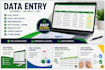 do accurate data entry, excel data entry, copy paste and web research