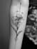 create any design in flash traditional tattoo style