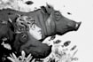 draw simple black and white illustration