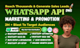 do whatsapp bulk message, whatsapp dms, whatsapp api setup, whatsapp marketing
