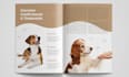 design flipbook, interactive PDF, digital magazine, ebook design and layout