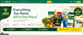 design and develop a modern responsive website