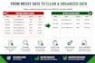 clean, format, and organize excel or CSV data