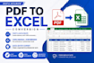 do accurate PDF to excel conversion, data entry and excel tasks