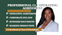 prepare your llc operating agreement and professional business documents