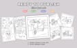 create custom coloring book pages with cover for amazon KDP and etsy