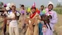 do funny happy birthday video