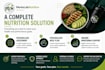 create a personalized nutrition and meal plan
