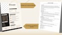 write and redesign your professional resume and CV