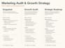 create a marketing audit or growth strategy