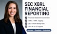 convert audited financial statements into xbrl for sec filing