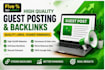write SEO blog posts and guest post articles