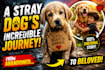 design ai youtube thumbnails that boost CTR